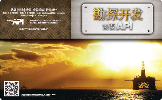 API Assists Chinese Enterprises to Enter World Market(圖1)