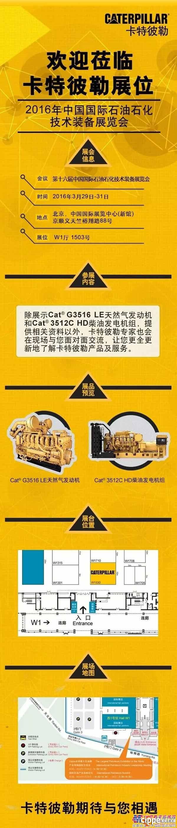 卡特彼勒：我們在cippe等你(圖1)